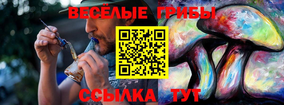 Галлюциногенные грибы GOLDEN TEACHER  Вход с VPN  Псилоцибиновые грибы Psilocybe  Братск 